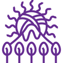 Корни и идентичность